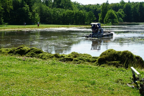 Waldbad Freiberg, Beseitigung der "grünen Pest", bzw. "kanadischen Wasserpest"